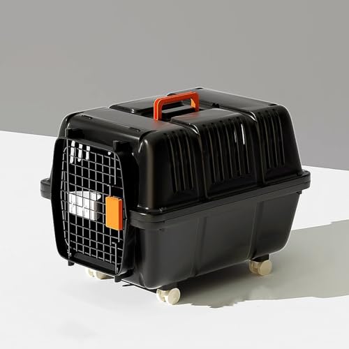 [JUI3N]  L N[g L[P[X L[obO ^ ybgL[ p Lp ubN P[W o s ʉ@ N[g hCu L n[hL[ M vX`bN hCuybgL[ ʋC 萫 킢