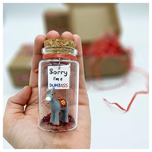 Apology Gift for Her or Him I'm Sorry Funny Gag Gift for Girlfriend or Boyfriend Miniature in a Bottle. Unique (Regretful)