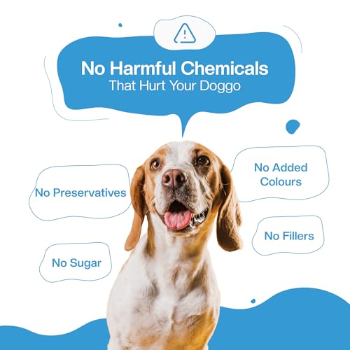 Image of BLEP Healthy Dog Food for Adult & Puppies | 7 Different Non Veg Zero Preservatives| Dog Trial Pack | Wet Dog Food | Complete Meal & Balanced | 700g | 7 Packs of 100g