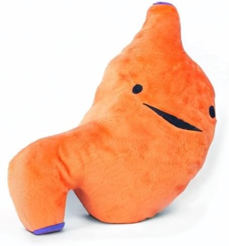 I Heart Guts Super Stomach Plush – I Ache for You! Gastroenterology Gift, GI Doctor Humor, Digestive Health Stuffed Toy, IBS & Ulcer Awareness, Crohn’s Disease Support, Medical Student Anatomy Plushie - Image 8