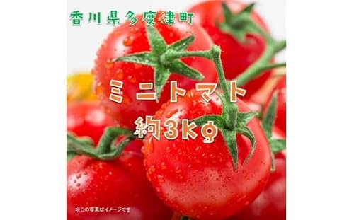 ミニトマト 約3kg[10月下旬より6月下旬まで限定発送!!][B-23]