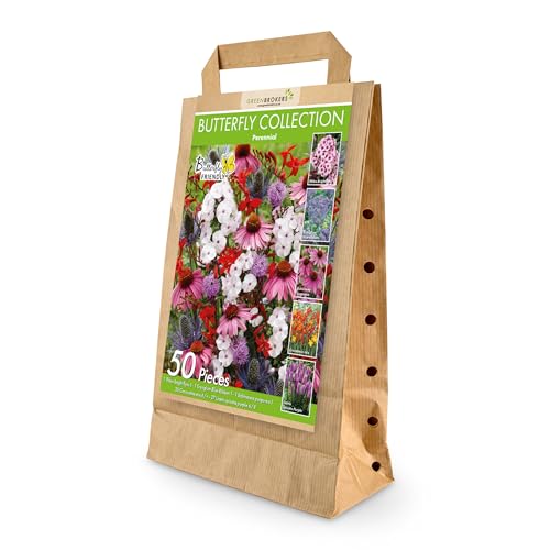 50 Butterfly Perennial Summer Bulb Collection | Mixed Bulb Varieties | Eco Packaging | Plant Now Ready to Bloom in Summer