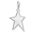 Produktbild Thomas Sabo Damen Charm-Anhänger Stern Charm Club 925 Sterling Silber Y0041-637-21