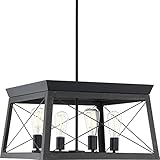 Progress Lighting Briarwood