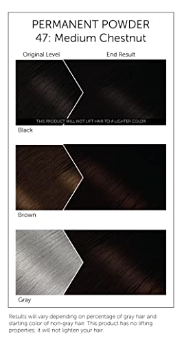 #47 Medium Chestnut Bigen Permanent Powder - 3 Pack