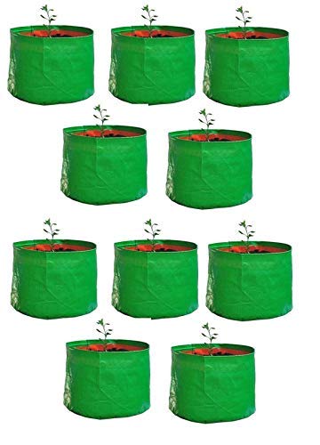 YUVAGREEN Terrace Gardening Leafy Vegetable Green Grow Bag (12" X...
