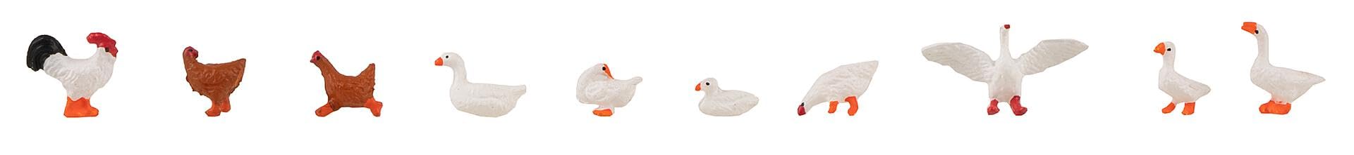 Faller - Chickens Ducks and Geese - FA151909