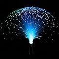 Rich Boxer LED Multicolor Changing Fiber Light Colourful Changing Fibre Optic Fountain Party Light Nightlight Lamp Calming Lamp Christmas Gift