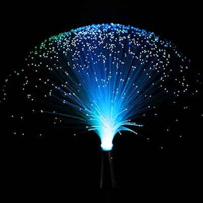 Rich Boxer LED Multicolor Changing Fiber Light Colourful Changing Fibre Optic Fountain Party Light Nightlight Lamp Calming Lamp Christmas Gift
