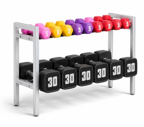 Image of WINSTAR 2-Tier Adjustable Dumbbell Rack | Heavy-Duty Home Gym Weight Storage Stand for Dumbbells & Kettlebells | Space-Saving Home Gym Organizer (Rack Only, Silver)