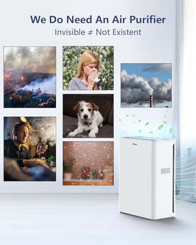 VEWIOR Air Purifiers ClearAir-A3 の商品画像 2