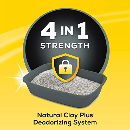 Purina Tidy Cats Clumping Cat Litter, 4-In-1 Strength Multi Cat Litter - 35 Lb. Pail #TOP1
