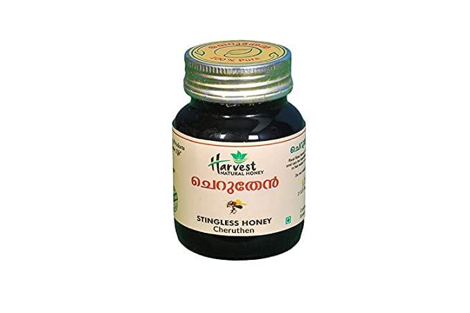 Miniatura 1 de Shiv Miel de abeja natural sin aguijón - Producto orgánico 100% natural de Western Ghats of Kerala - 3.53 oz