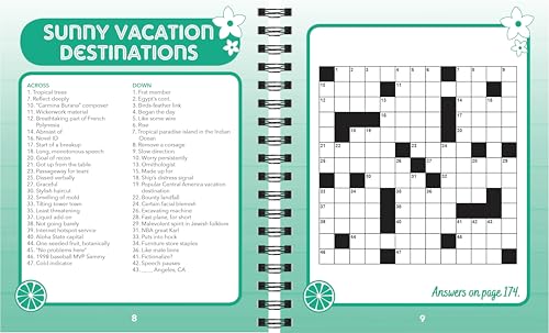 Brain Games - Summer Puzzles (#5): Have Fun Solving in the Sun (Volume 5) Spiral-bound – June 15, 2025 - Image 6