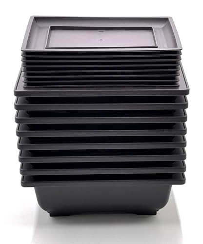 Pots de bonsaï rectangulaires en plastique avec coupelles | Lot de 8
