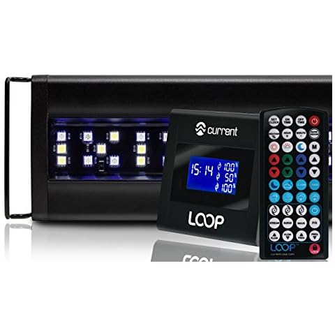 Current USA Orbit Marine LED Light, 24"-36" | With LOOP IR Controller for Wireless Lighting & Wave Pump Control (4101) Cover