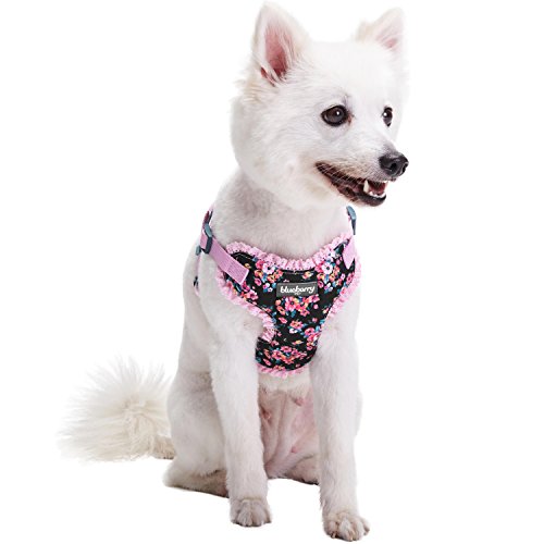 Blueberry Pet 5 Patterns Soft & Comfy Made Well Elegant Floral No Pull Mesh Dog Harness Vest in Sleek Black, Chest Girth 17.5