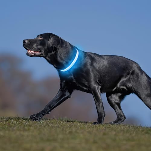 PcEoTllar Leuchthalsband Hund Aufladbar, Hundehalsband Leuchtend Wasserdicht, Blinkend LED Halsband für Hunde mit 7 Farben, Einstellbare LED Hundehalsband für Kleine Große Hunde, Blau-M