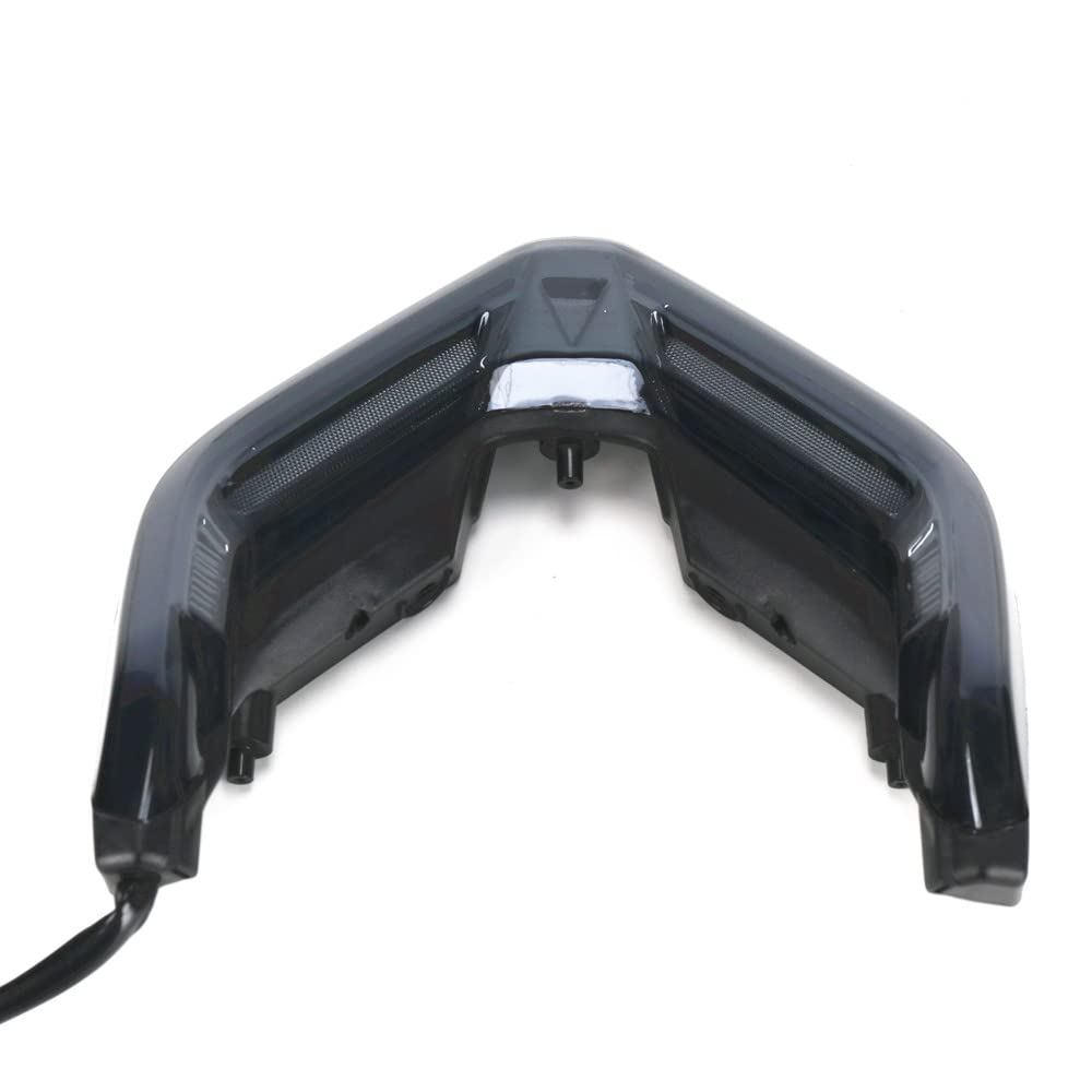 GOODELY LED Tail Brake Light Turn Signal Indicator Integrated Compatible With Panigale V4 V4S V4R V2 2018-2023,Streetfighter V4 V4S V4SP V2 V2S 2020-2023 (Smoke)