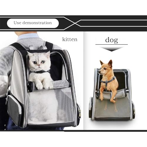 Mochila para gatos premium con transporte cómodo y transpirable 8