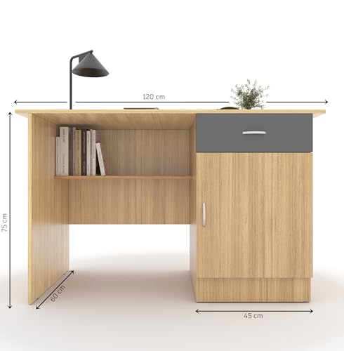 Image of Engineered Wood Study & Office Table 120x60x75cm | Matte Finish | Free Standing Compact Computer Desk with Drawer & Cabinet | 1 Year Warranty | Brown Finish - Urban Teak