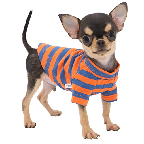Lophipets 100% Breathable Cotton Striped Dog Tee Shirt T-Shirt For Small Dogs Teacup Chihuahua Yorkie Puppy Clothes -Orange And Blue Strips/Xs #TOP4