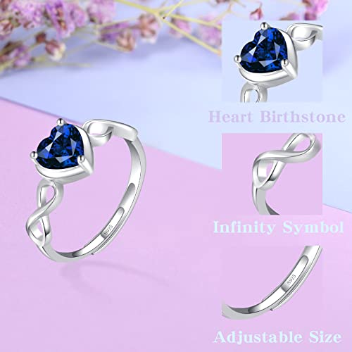 Shysnow Birthstone Infinity Heart Ring for Women 925 Sterling Silver Adjustable Open Infinity Symbol Promise Cubic Zirconia Dainty Engagement Wedding Simulated Gemstone Rings for Mothers Wife4