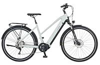 Prophete ENTDECKER 5.0 Trekking E-Bike 28 – AEG 250W Mittelmotor, 220 km Reichweite,Deore 10-Gang, Hydraulische Scheibenbremsen, Integrierter Li-Ion Akku, Grau/Schwarz