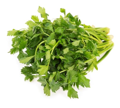 Image of Fresh Parsley, 50 g
