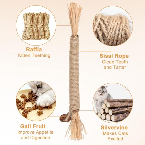 2 Stück Katzenminze Spielzeug – Interaktives Katzenspielzeug mit 2 Beißseilen und 4 Catnip Sticks – Fördert Katzen Zahnpflege und Selbstbeschäftigung – Perfekt für aktive Katzen, Katzenminze Stick.