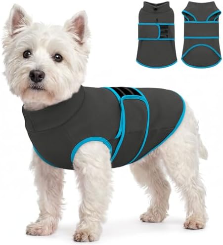 Queenmore Colete calmante de ansiedade para cães, terno de compre...