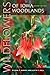 Wildflowers of Iowa Woodlands (Bur Oak Guide)