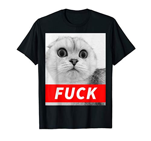 FUCK! Scottish Fold