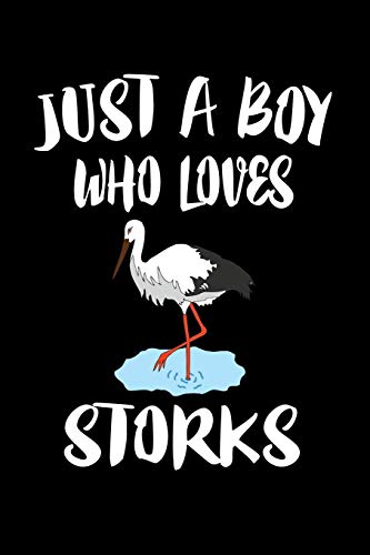 Just A Boy Who Loves Storks: Animal Nature Collection