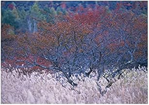 فوتو بلوك المناظر الطبيعية تابلوه 60 سم×40 سم - 2724819460487