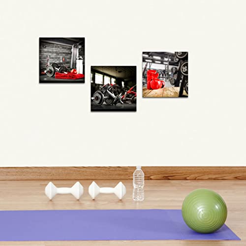 Lyerartork 3 Pieces Sports Canvas Wall Art Home Gym Pictures Wall Decor Dumbells Boxing Gloves Body Building Training Poster Prints For Boys Room Fitness Decoration 12X12Inchx3Pcs (Small) #TOP1