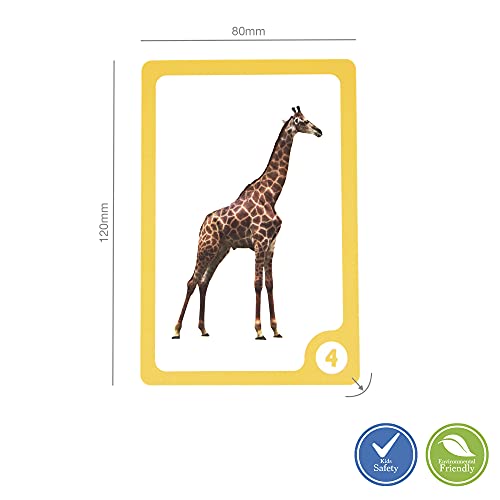 Rocket Kidz - Carte prime parole animali - 50