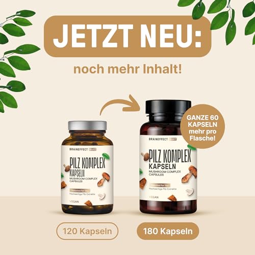 Cordyceps BrainEffect Pilz Komplex mit Reishi und Hericium