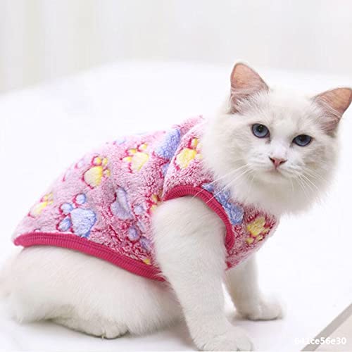 PETANGEL Small Dogs Cat Warm Velvet Fleece Shirt, Cute Paw Print Fashion Soft Flannel Winter Shirt for Shihtzu, Pug, Papillon, Cats etc (Size: XXL, Chest: 55cm, Back Length: 45cm) (B0CSFQKSCQ) Amazon Price History, Amazon Price Tracker