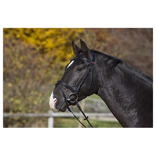 Kieffer Melina Cabezada, Otro, Marrón, Talla Única