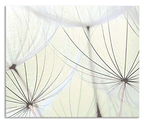 ARTland Spritzschutz Küchenrückwand aus Alu für Küche Herd Spüle 60x50 cm (BxH) mit Motiv Blume Pusteblume Landschaft Natur Zen Modern Hell Grün S9MV