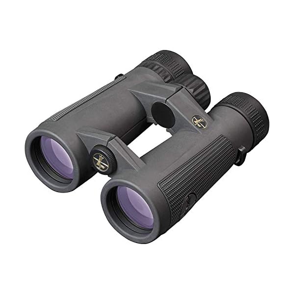 Leupold BX-5 Santiam HD Fernglas, 10 x 42 mm (174483)