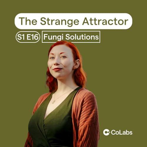 Crafting with Life: Mycelium, Biodesign, and a Regenerative Materials Economy with Amanda Morgan from Fungi Solutions | #16