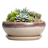 SQOWL Succulent Pots 8 Inch - Ceramic Bonsai Pots for Indoor Plants, Round...