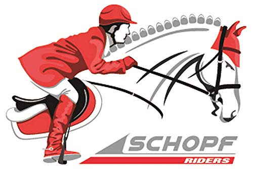 Lederseife Schopf 301166 zur Reinigung von Zaumzeug und Sätteln, 500 ml