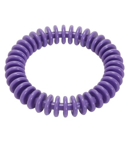 Sporti 6" Dive Ring - Purple