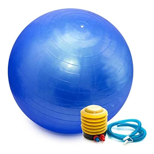 Bola Pilates Yoga Abdominal Ginástica Fitness 65 cm C/Bomba Azul