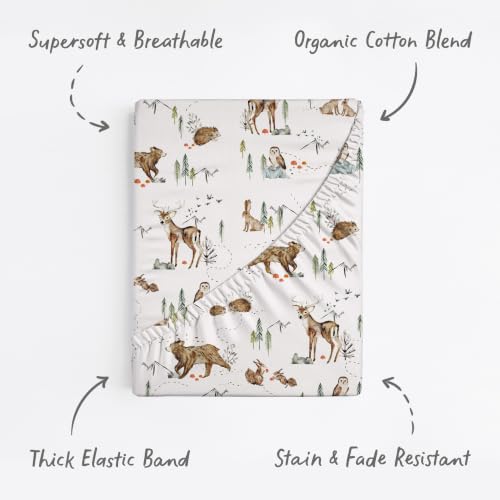 Image of Baby Bassinet Sheets for Boy, Girl (Magic Forest) 2-Pack - Fitted Bedside Bassinet Sheets - Buttery Soft Cotton Blend for Standard Mattress Pad - Compatible with Halo BassiNest