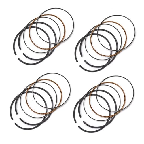 ZPTPGZLZDS(���X) �I�[�g�o�C�p�s�X�g�������O 49�`49.50mm STD�`+50 �ɓK������ GSX250R GJ72A GJ73A GJ74A GSF250 BANDIT 250 ACROSS 913