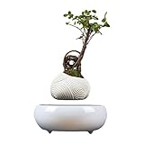 3. Aspecto encantador: las plantas en maceta Maglev con diseño creativo único, se ven como estrellas flotantes, muy a la moda, y los regalos encantadores son adecuados para amigos y amantes.
